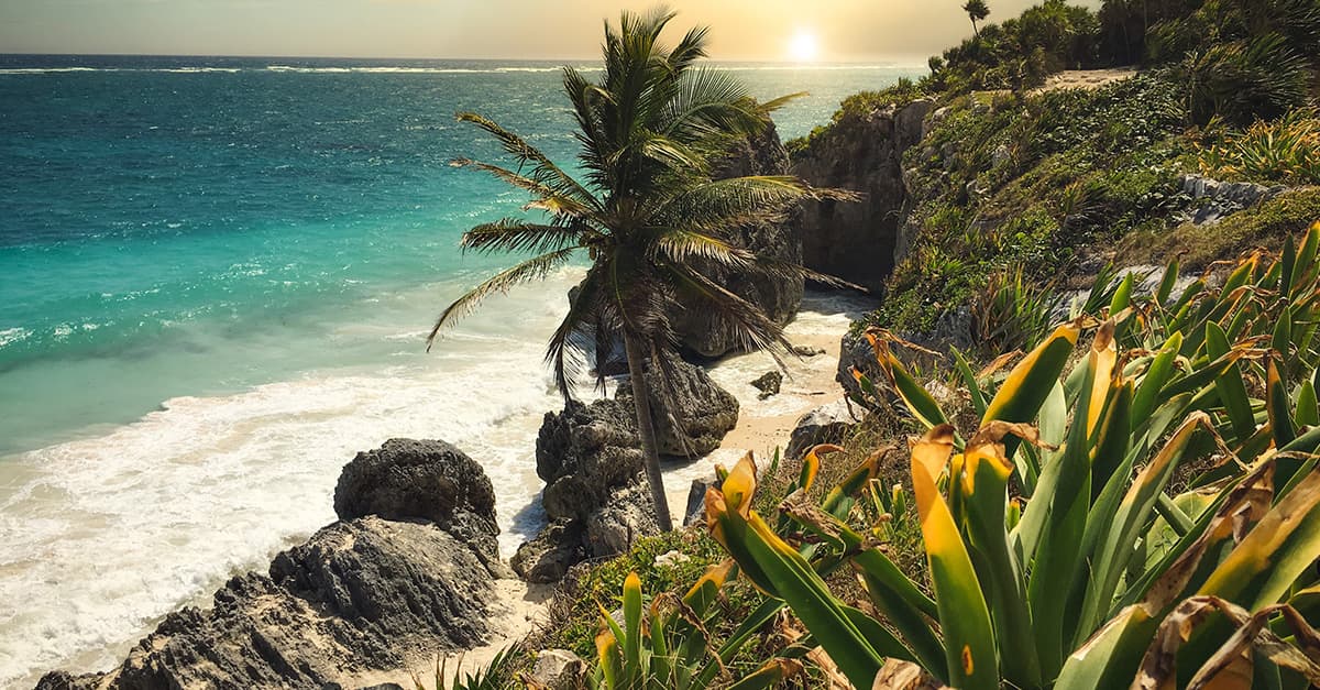 Best Destinations to Invest in the Riviera Maya This Year