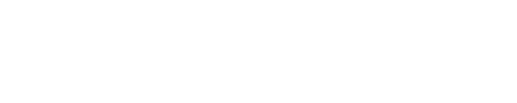 px-logo-white